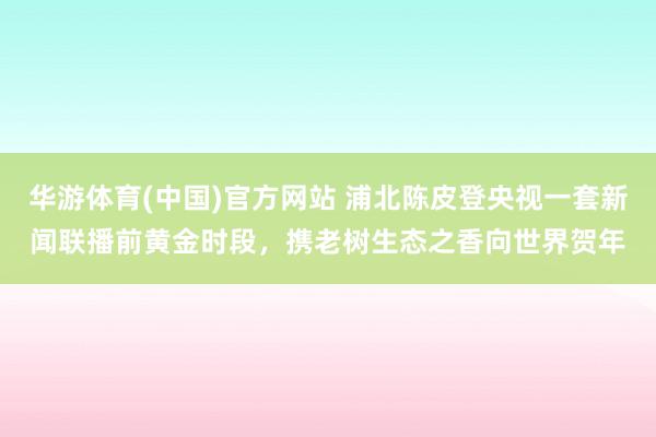 华游体育(中国)官方网站 浦北陈皮登央视一套新闻联播前黄金时段，携老树生态之香向世界贺年