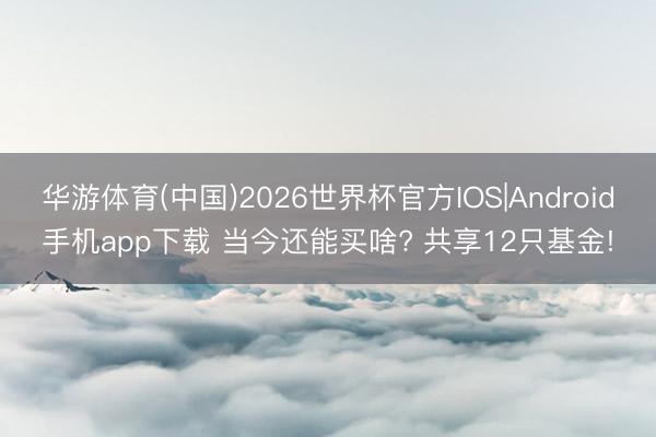 华游体育(中国)2026世界杯官方IOS|Android手机app下载 当今还能买啥? 共享12只基金!