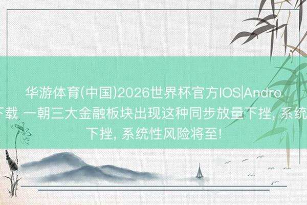 华游体育(中国)2026世界杯官方IOS|Android手机app下载 一朝三大金融板块出现这种同步放量下挫， 系统性风险将至!