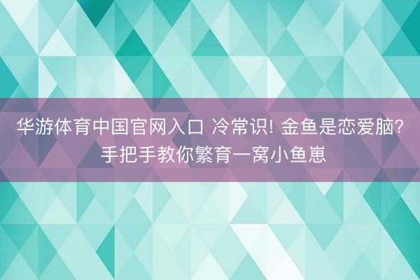华游体育中国官网入口 冷常识! 金鱼是恋爱脑? 手把手教你繁育一窝小鱼崽