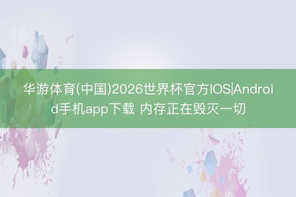华游体育(中国)2026世界杯官方IOS|Android手机app下载 内存正在毁灭一切