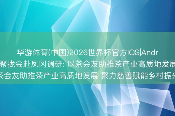 华游体育(中国)2026世界杯官方IOS|Android手机app下载 省慈善聚拢会赴凤冈调研: 以茶会友助推茶产业高质地发展 聚力慈善赋能乡村振兴