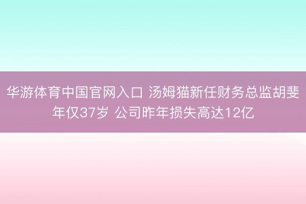华游体育中国官网入口 汤姆猫新任财务总监胡斐年仅37岁 公司昨年损失高达12亿