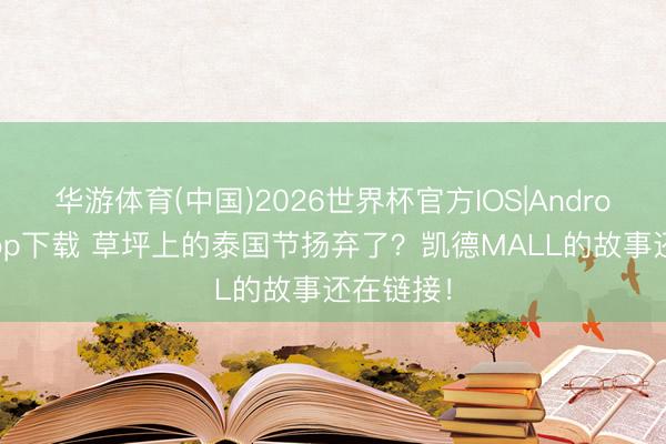 华游体育(中国)2026世界杯官方IOS|Android手机app下载 草坪上的泰国节扬弃了?凯德MALL的故事还在链接!