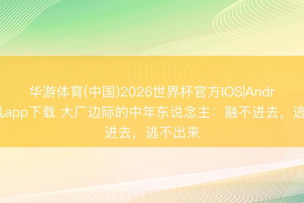 华游体育(中国)2026世界杯官方IOS|Android手机app下载 大厂边际的中年东说念主：融不进去，逃不出来